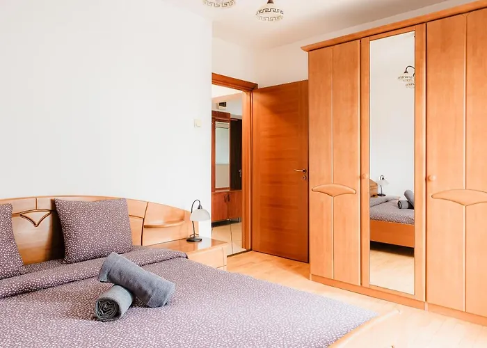 Apartman Piata Victoriei *